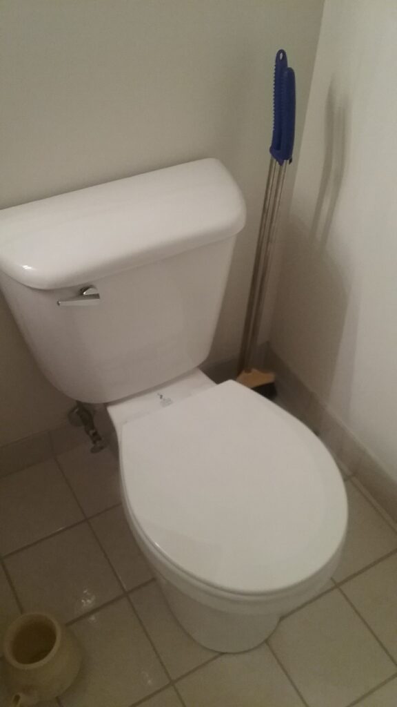 Chicago Toilet Installation